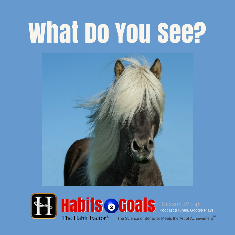 The Habit Factor®